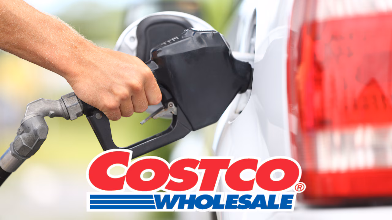 costco rewards